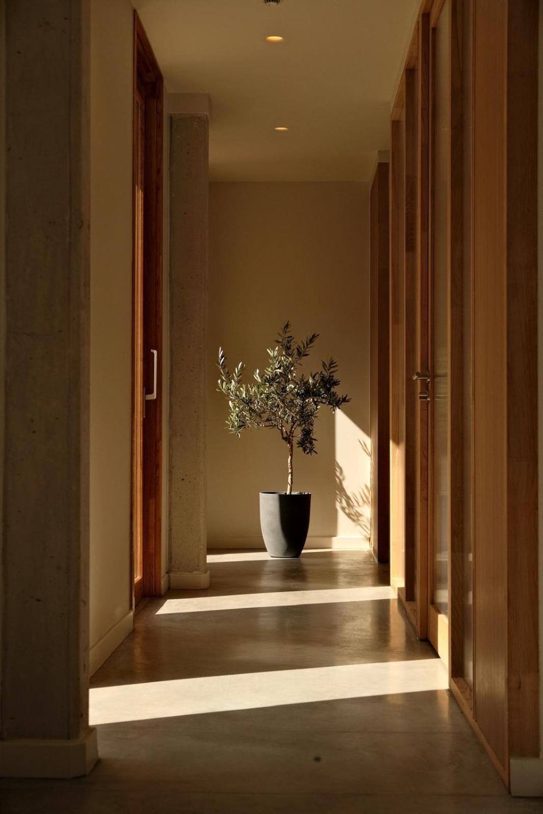 La Maison Gaia Hotel & Spa 또헤이으 외부 사진
